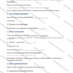 Wersja rozbudowana — strona 2