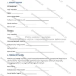 Wersja rozbudowana — strona 1