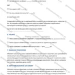 Wersja rozbudowana — strona 3