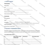 Wersja rozbudowana — strona 1
