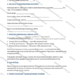 Wersja rozbudowana — strona 3