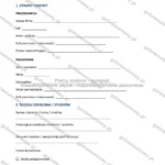 Wersja rozbudowana — strona 1
