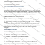 Wersja rozbudowana — strona 2