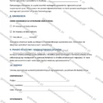 Wersja rozbudowana — strona 4