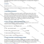 Wersja rozbudowana — strona 3