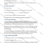 Wersja rozbudowana — strona 2