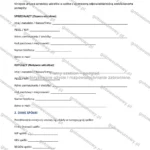 Wersja rozbudowana — strona 1