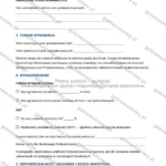 Wersja rozbudowana — strona 2