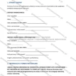 Wersja rozbudowana — strona 1